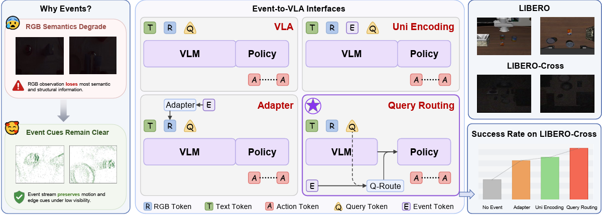 Event-VLA: Action-Conditioned Event Fusion for Robust Vision-Language-Action Model
